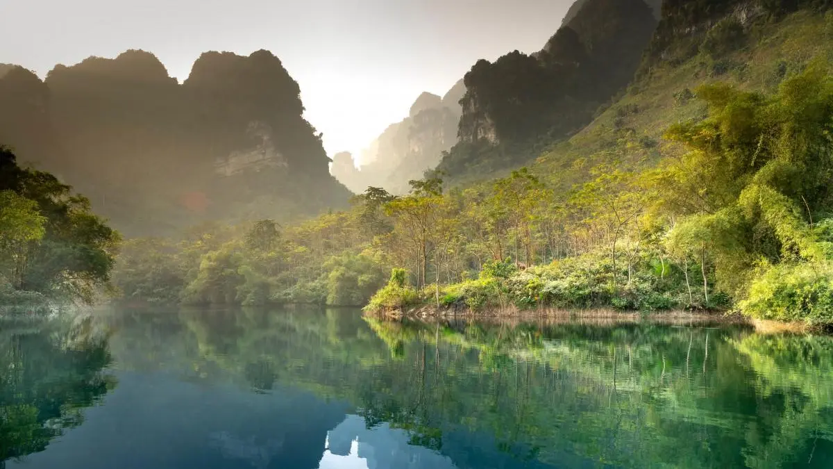 高效高质量高性能